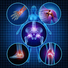 orthopedic nagpur